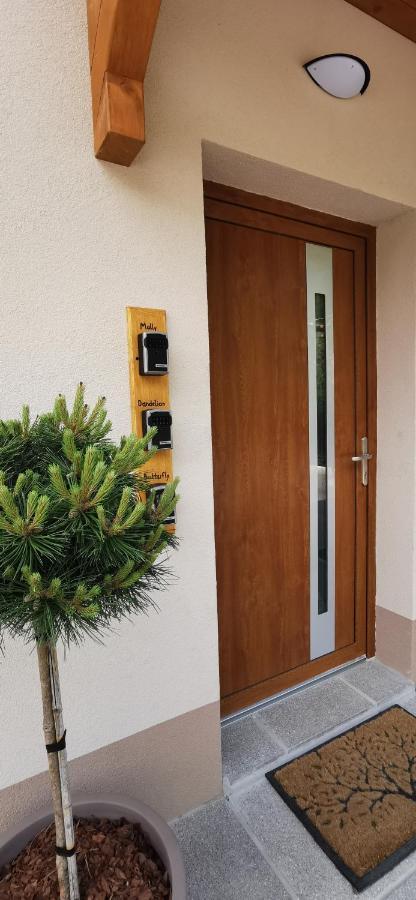 Apartmaji Tmaynka Tolmin Εξωτερικό φωτογραφία